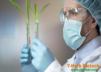 Shaanxi Y-Herb Biotechnology Co., Ltd.