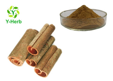Oil Cinnamon Bark Extract Polyphenol Powder Cinnamaldehyde / Cinnamic Aldehyde