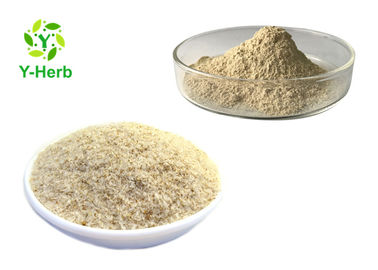 Replacement Food Additive Bulk Fiber Extract Organic Seed Psyllium Husk Powder