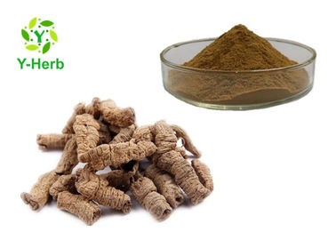Morinda Officinalis Sexual Enhancement Ingredients Indianmulberry Root Extract Powder