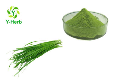 Health Care Vegetable Extract Powder Leek Leaf Juice Concentrate Powder