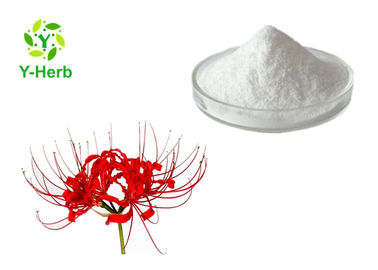 Natural Extract 98% 99% Lycorine Hydrochloride Powder Lycorine HCL CAS 2188-68-3