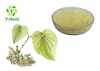 Medical Grade Kava Root Extract Water Soluble Yellow Fine Powder 2 Years Shelf Life