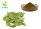 Sennosides A+B Powder Senna Alexandrina Leaf Extract Cassia Angustifolia 8%-20%