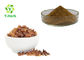 Gum Myrrh Resin Extract 10:1 50:1 Bulk Organic Commiphora Myrrha Extract Powder