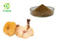 Honey Agaric Mushroom Extract Powder P.E. 30% Armillaria Mellea Polysaccharides Ingredients