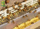 Honey Ginseng Bee Propolis Powder Royal Jelly Treatment Premature Ejaculation