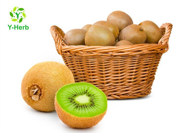 100% Water Soluble Kiwi Juice Powder Light Greeen Fruit Concentrate Spray Drying