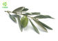 Olive Leaf Herbal Extract Powder Brown Fine Powder With HPLC Test Method
