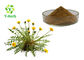 Water Soluble Herbal Extract Powder Taraxacum Extract Yellow Brown Color